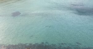 ÖTILLÖ Malta swimrun – clear water on the rocky Maltese coast