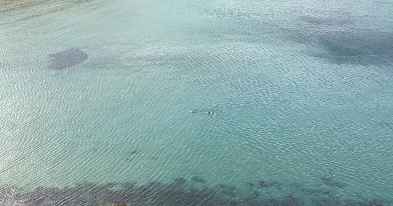 ÖTILLÖ Malta swimrun – clear water on the rocky Maltese coast